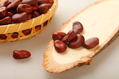 《暗黑破坏神4》S9 PTR直播总结 压制玩法彻底歇菜